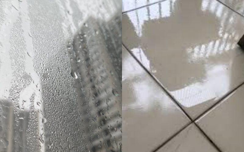 ẩm mốc trong ngày nồm ẩm miền Bắc