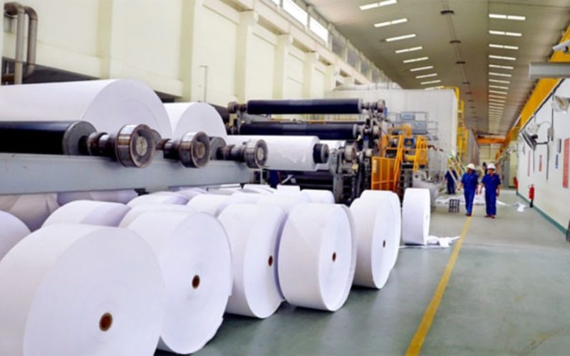nhà máy sản xuất vải Airlaid