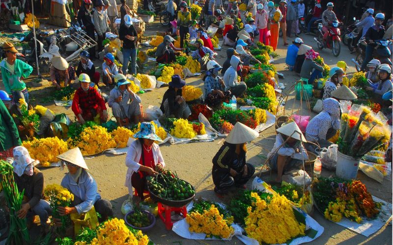 Bí Quyết Bảo Quản Rau Củ Tươi Lâu Trong Tủ Lạnh Dịp Tết 2027