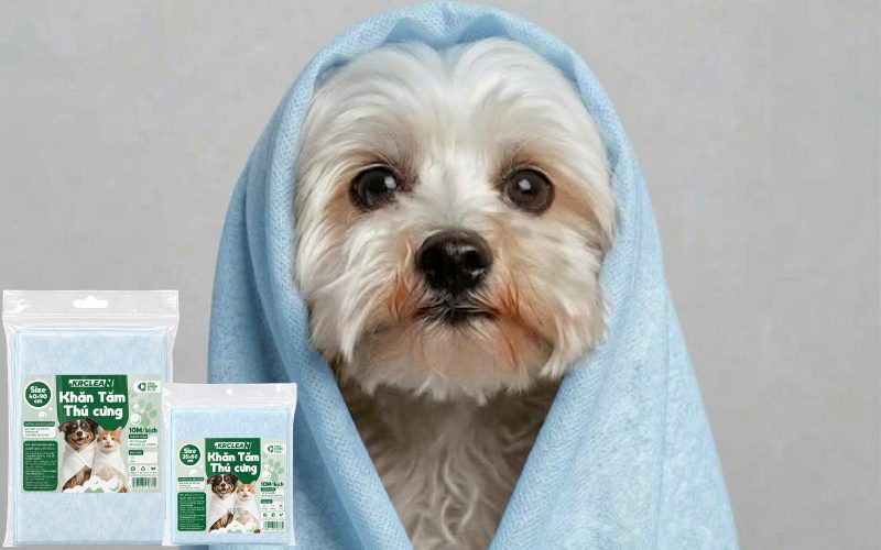 Cách Chọn Khăn Tắm Cho Chó Phù Hợp Với Cún Cưng Nhà Bạn