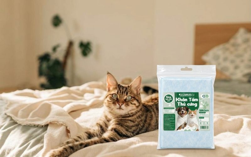 Khăn Tắm Cho Mèo Giúp Tiết Kiệm Thời Gian Sấy Lông Cho Hoàng Thượng