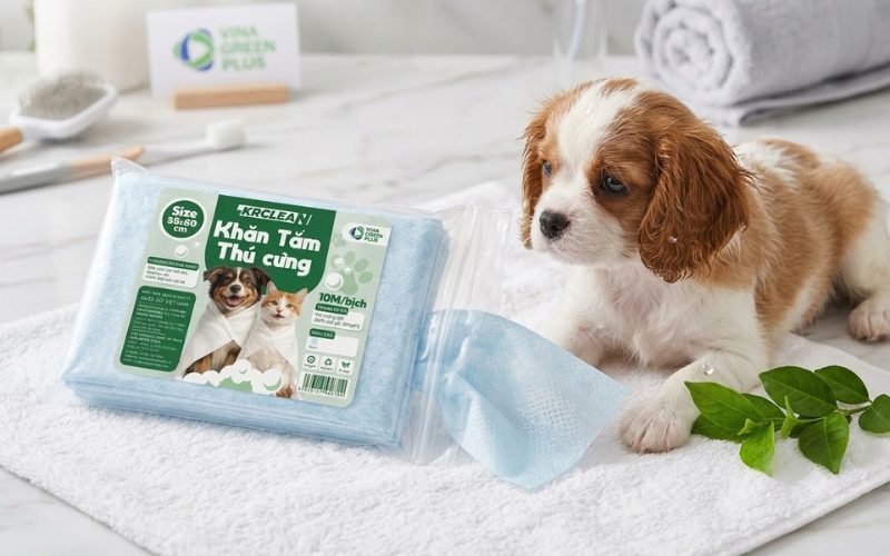 khăn lau khô chó mèo KRCLEAN dùng một lần màu xanh
